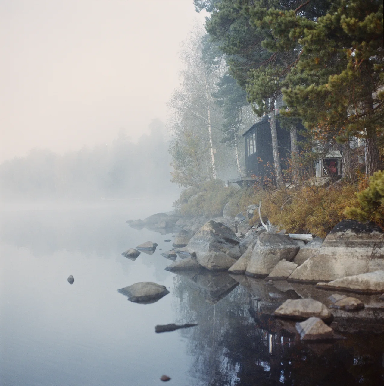 Hasselblad 500C/M · Kodak Portra 400