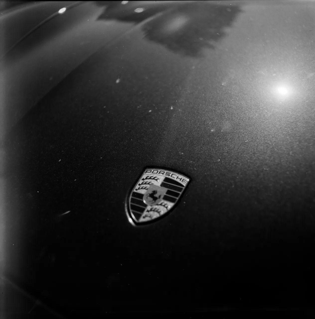 Hasselblad 500C/M · Fomapan 100 Classic