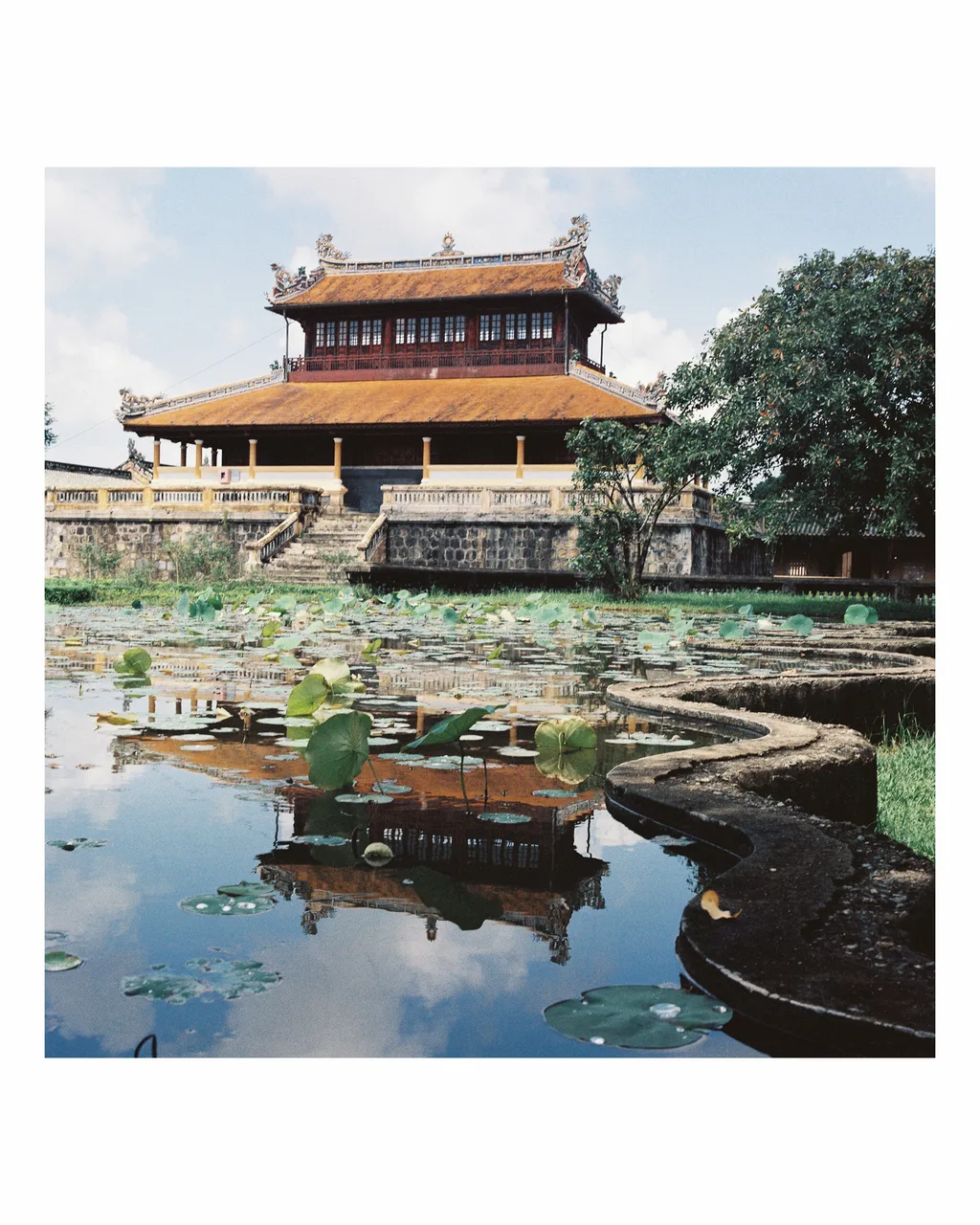 Hasselblad 500C/M · OptiColour 200