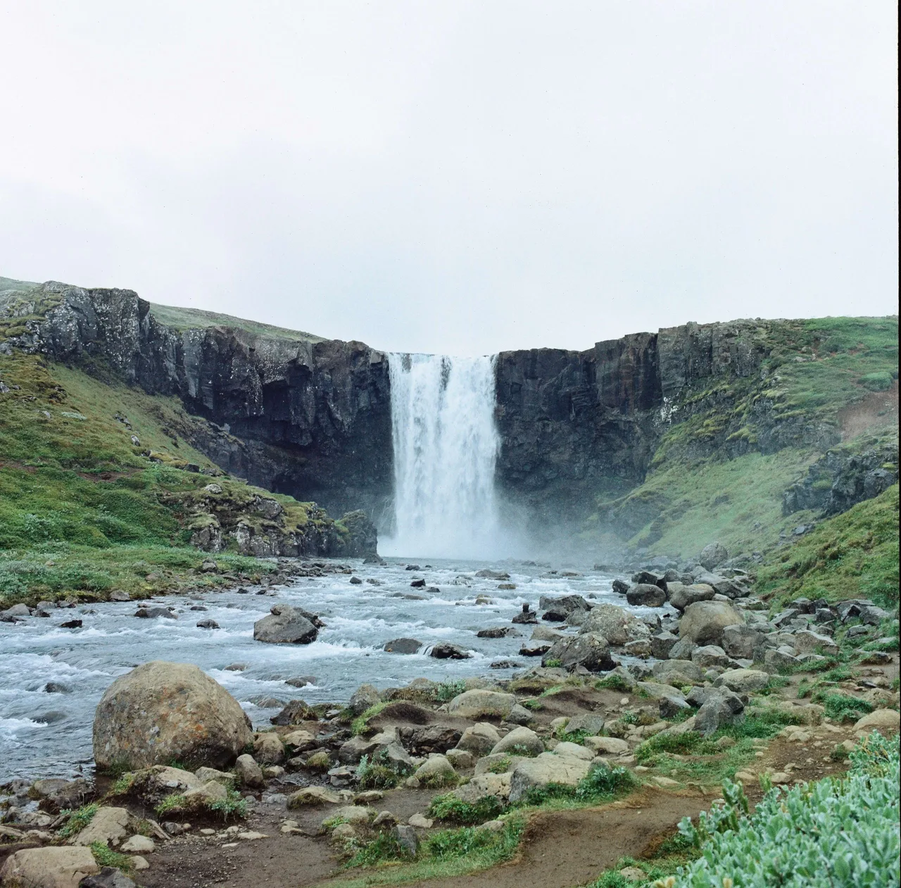 Hasselblad 500C/M · OptiColour 200