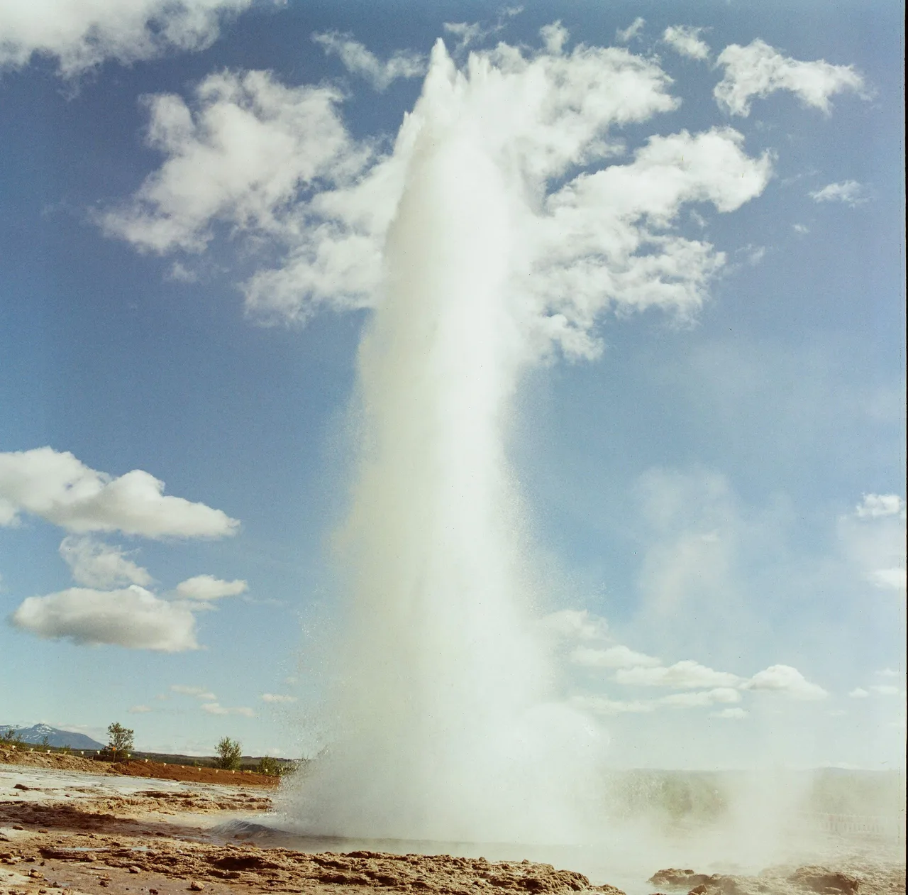 Hasselblad 500C/M · OptiColour 200