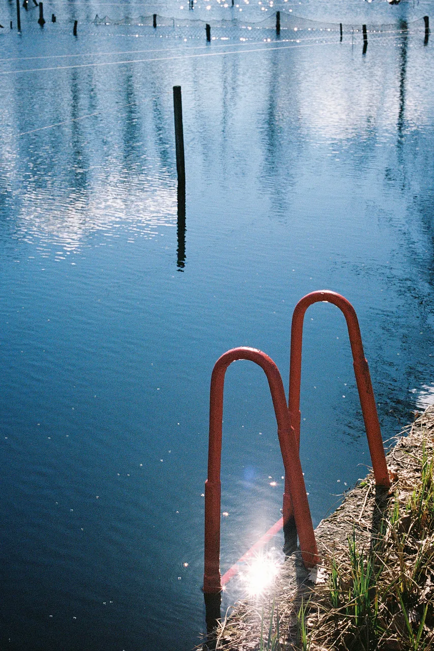 Ivo_400