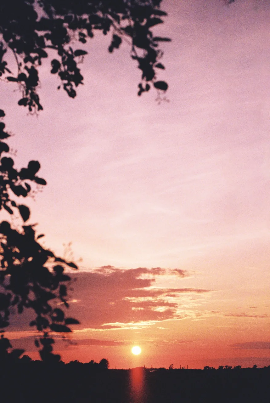 Ivo_400