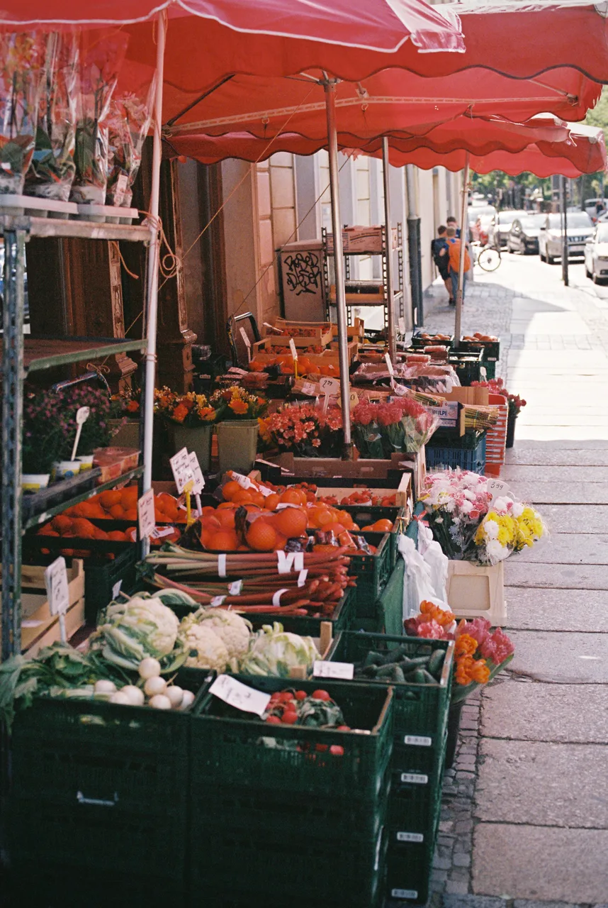 Ivo_400