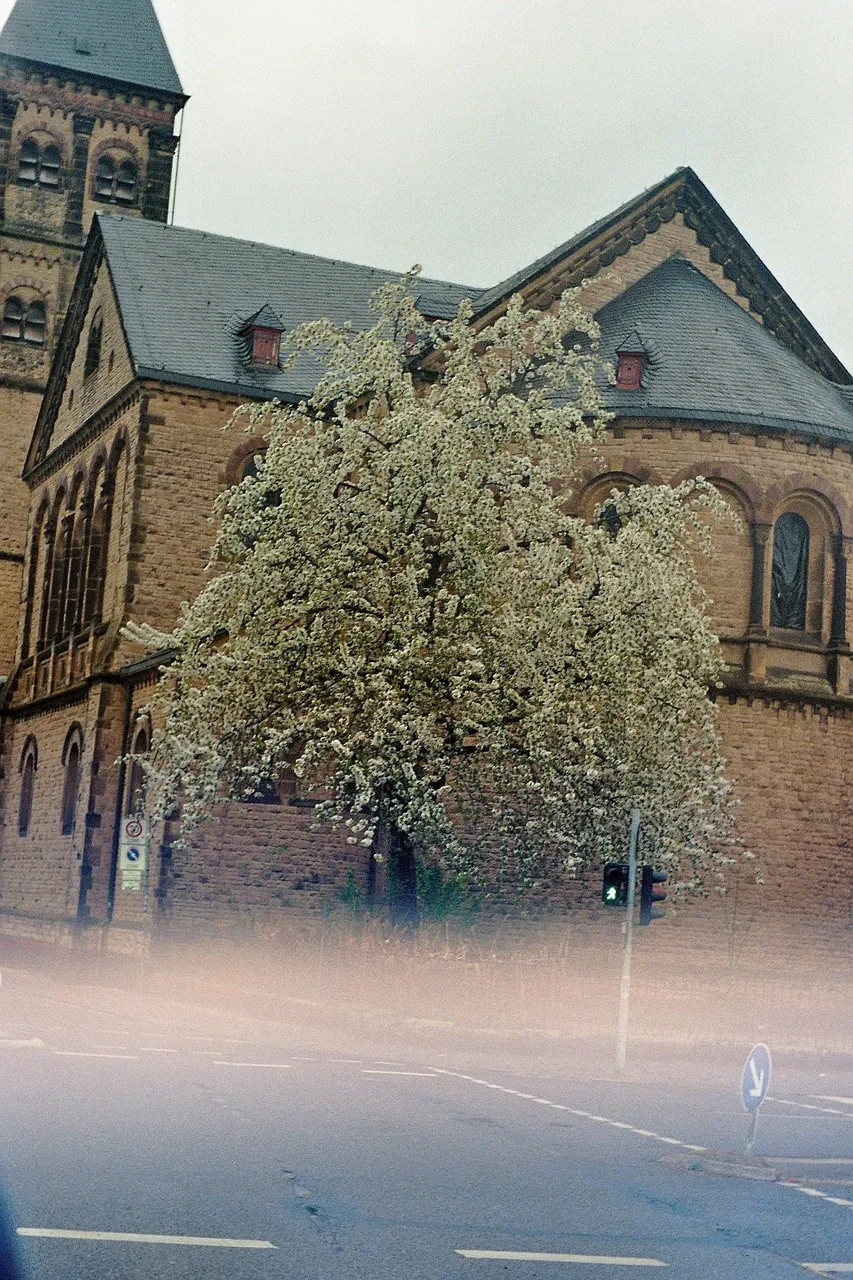 Praktica TL1000