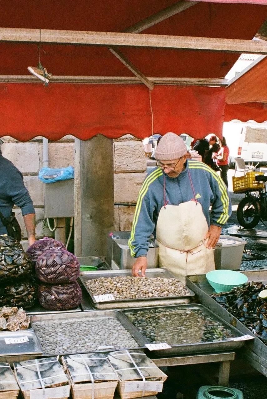 Canon AE1 Program · Kodak Portra 400
