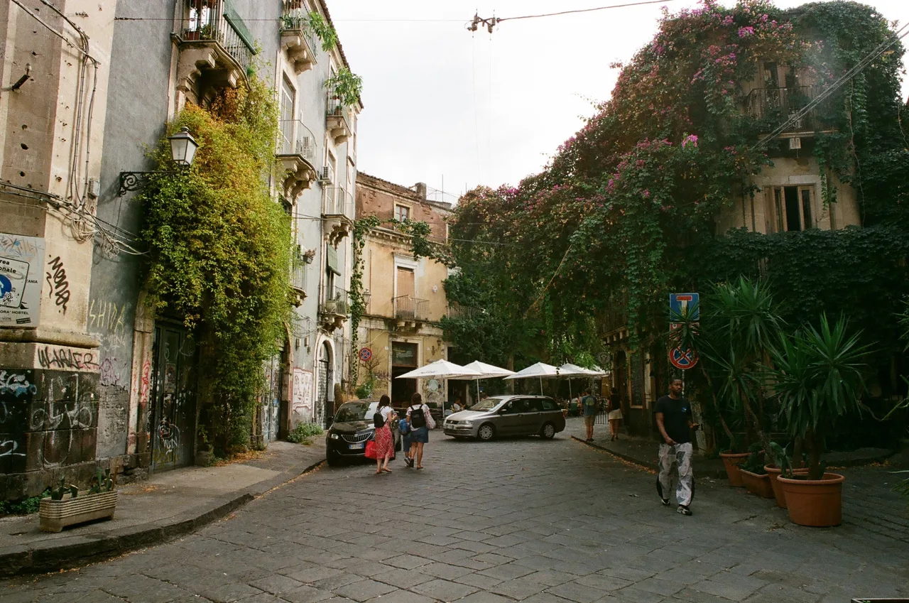Canon AE1 Program · Kodak Ultramax 400