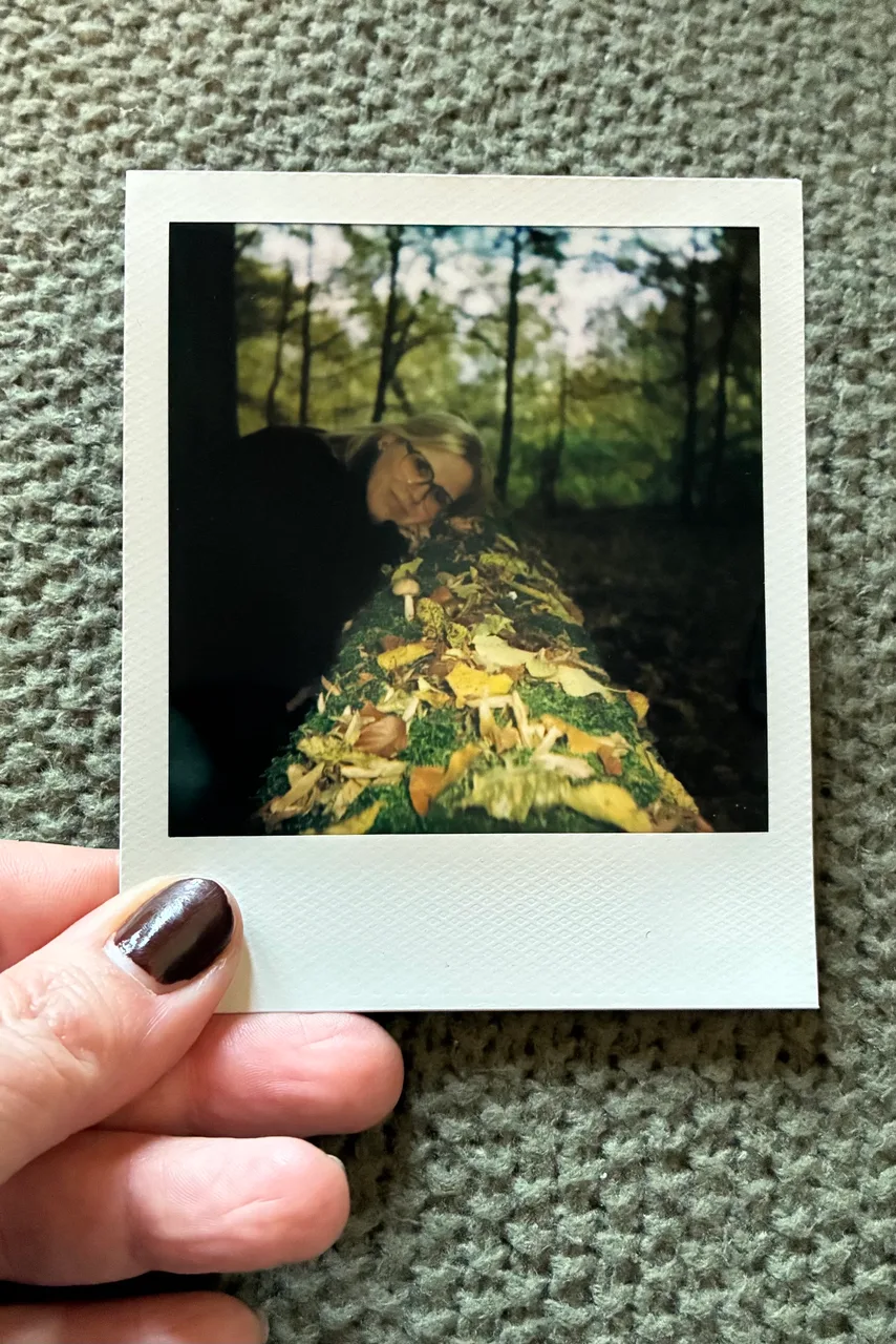 Polaroid Impulse AF · Polaroid Color 600