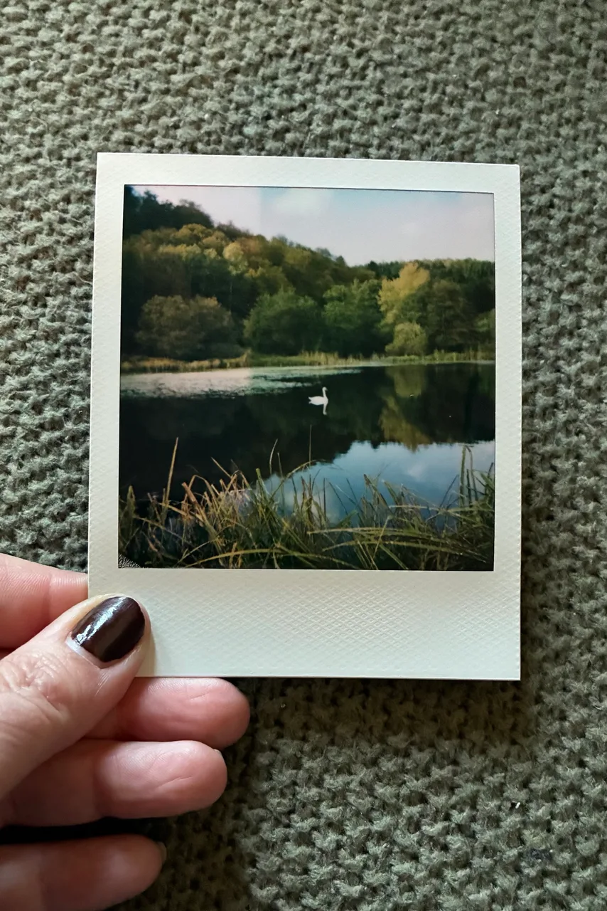 Polaroid Impulse AF · Polaroid Color 600