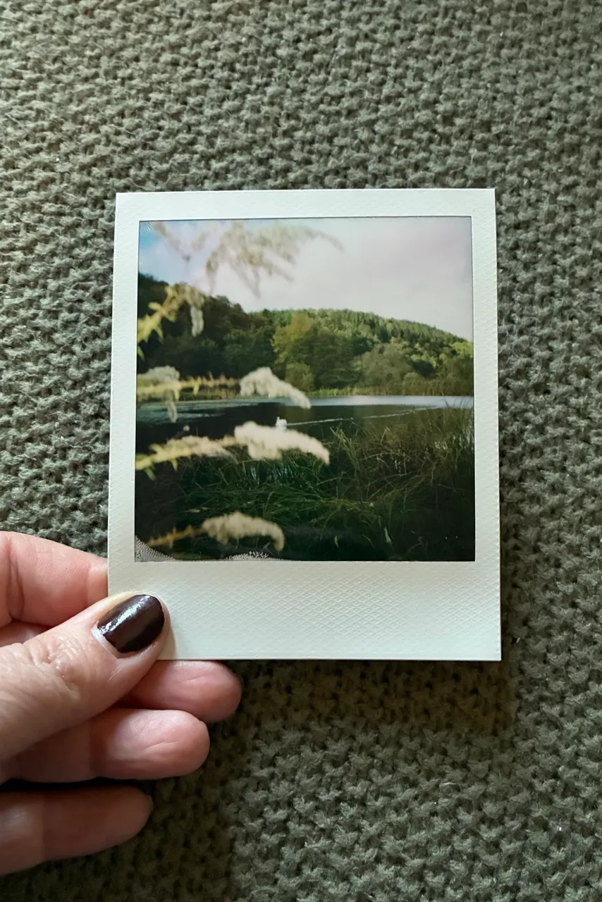 Polaroid Impulse AF · Polaroid Color 600