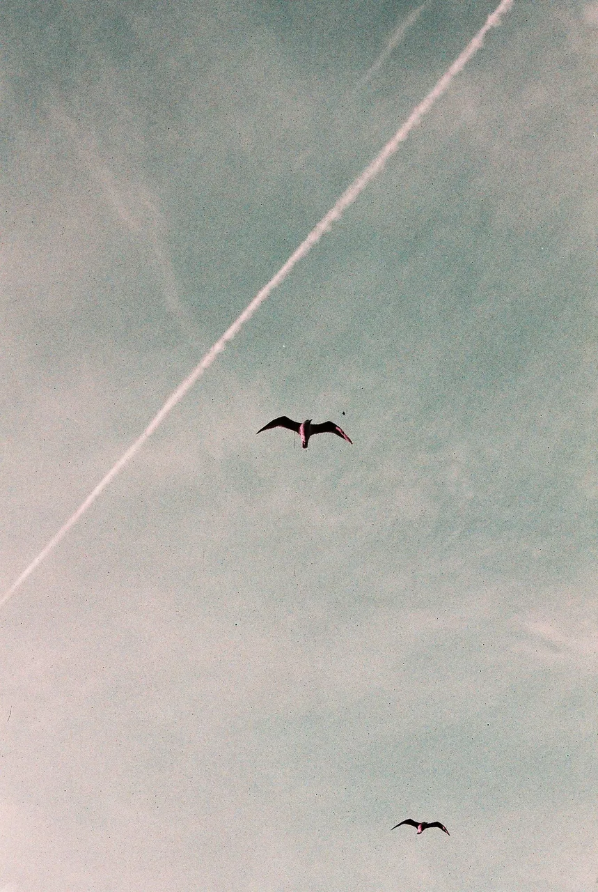 grainisintheair