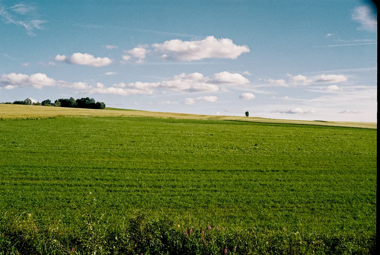 wagn.er