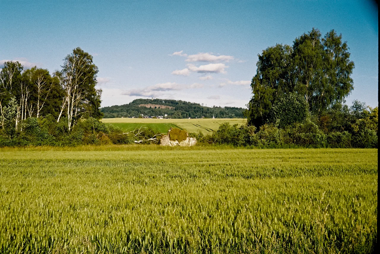 wagn.er