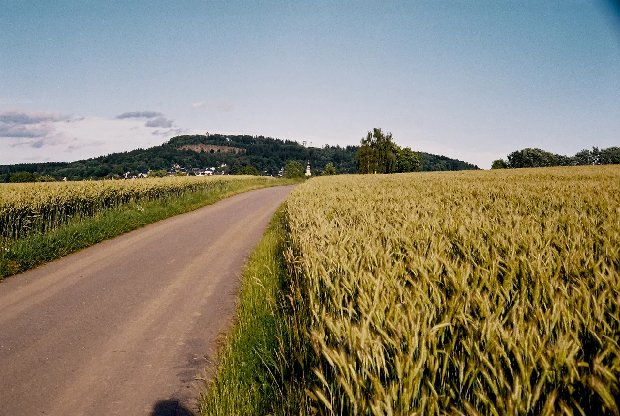 wagn.er