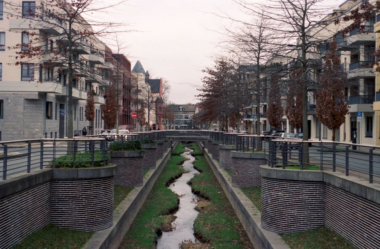 Ichbinetwasdoof