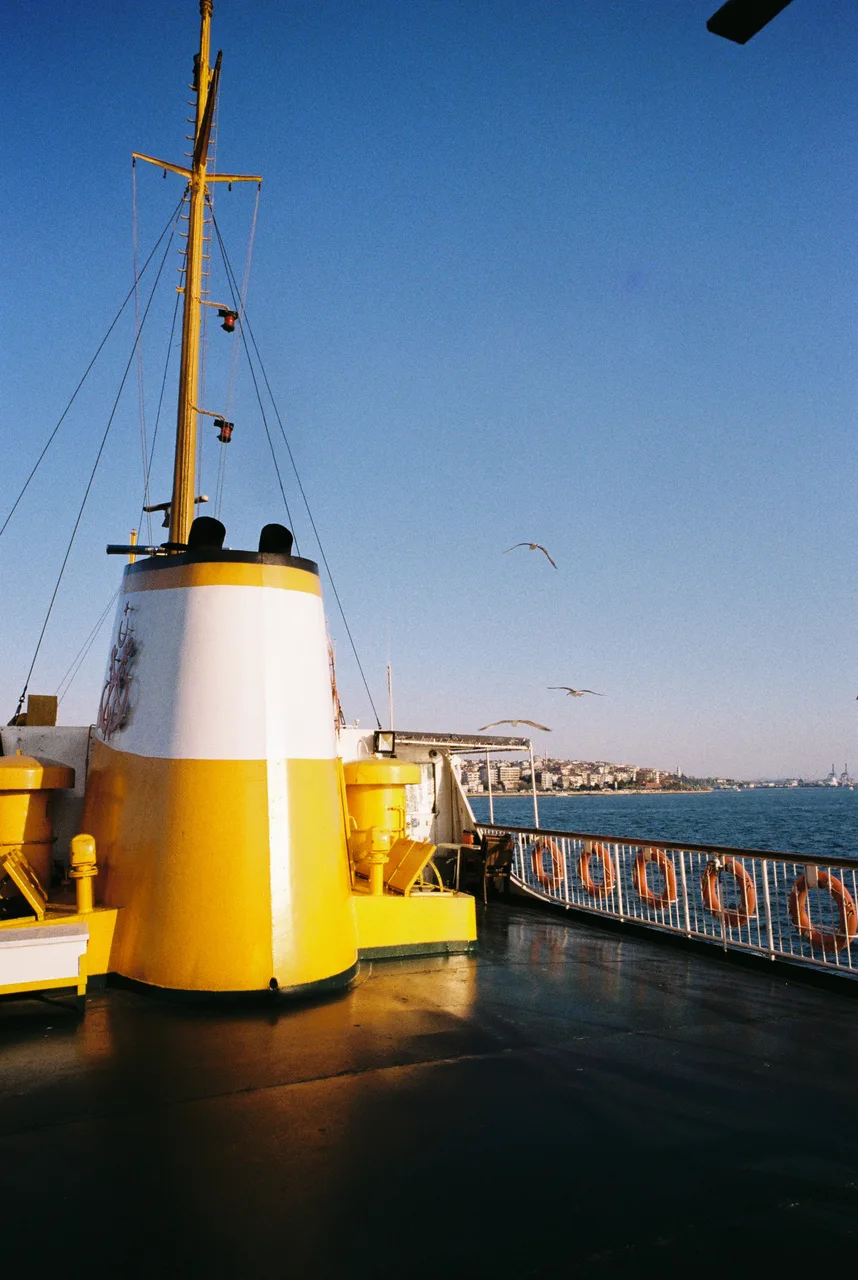Peer