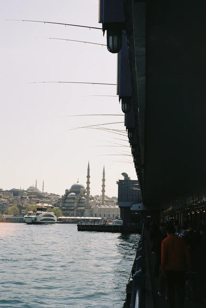 Peer