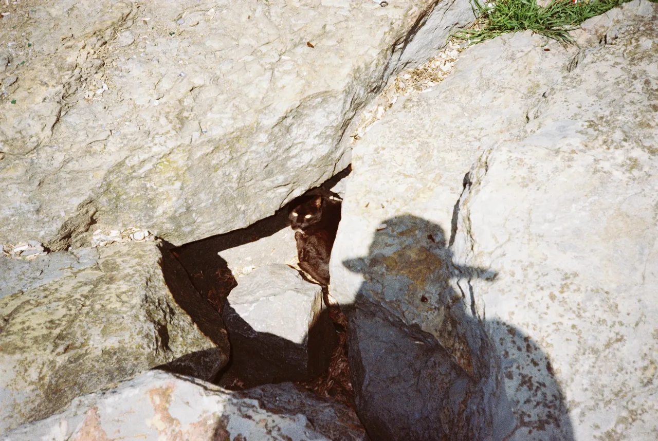 Peer