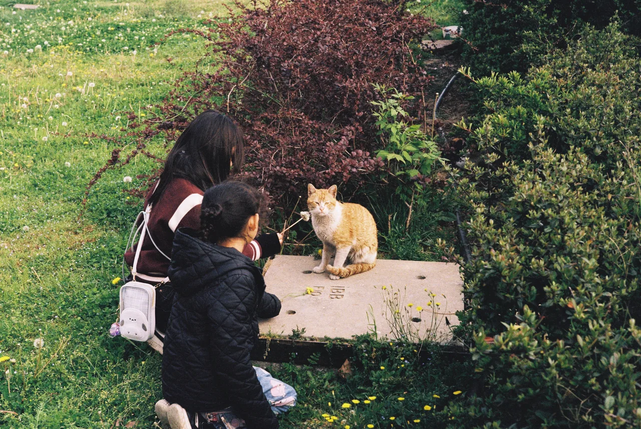 Peer
