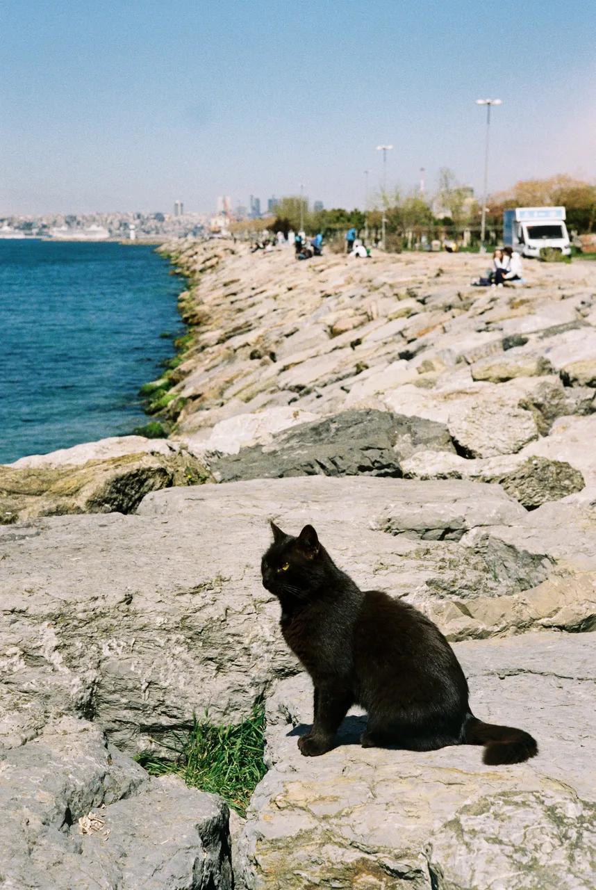 Peer