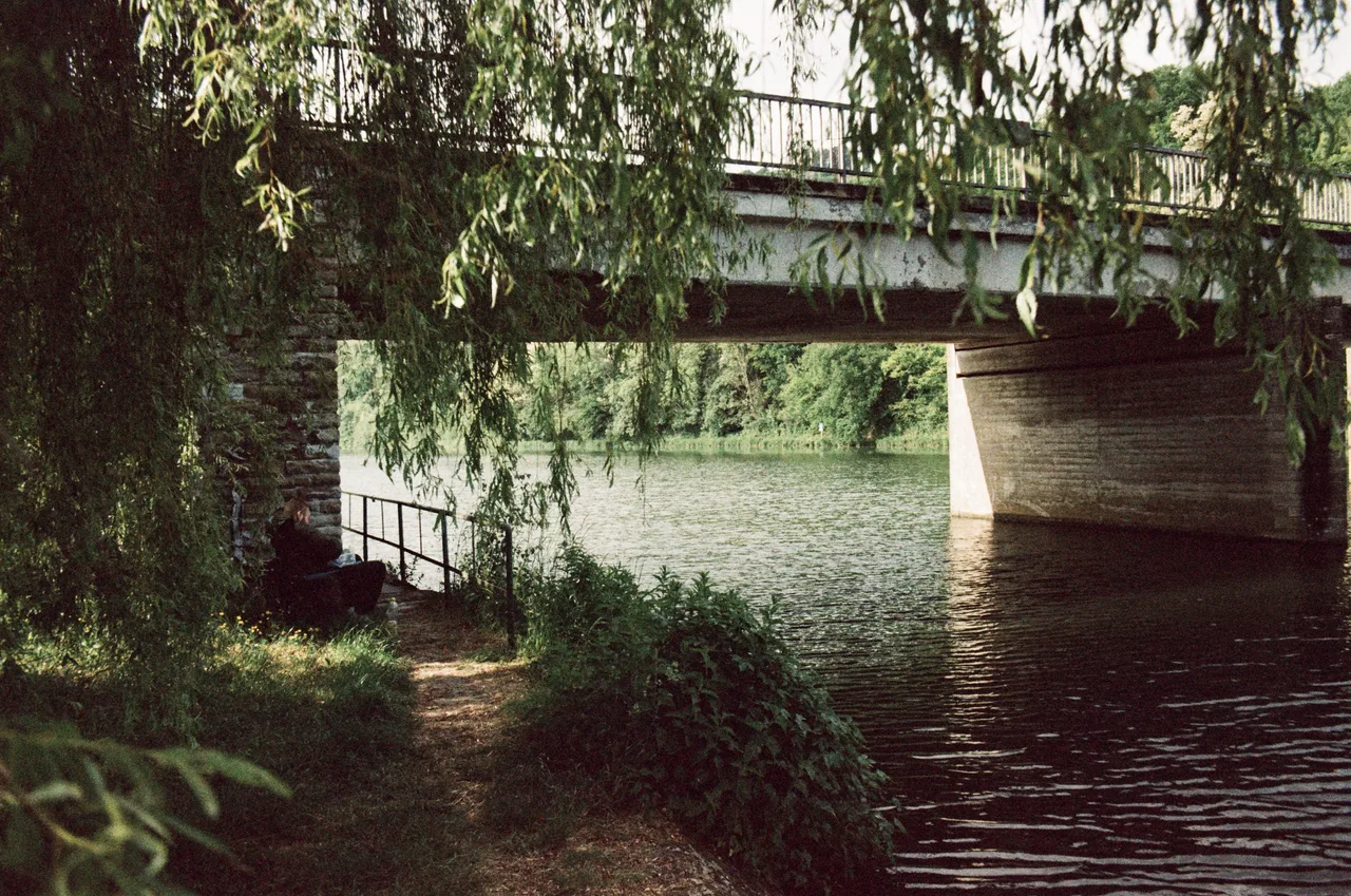 damitdasjan