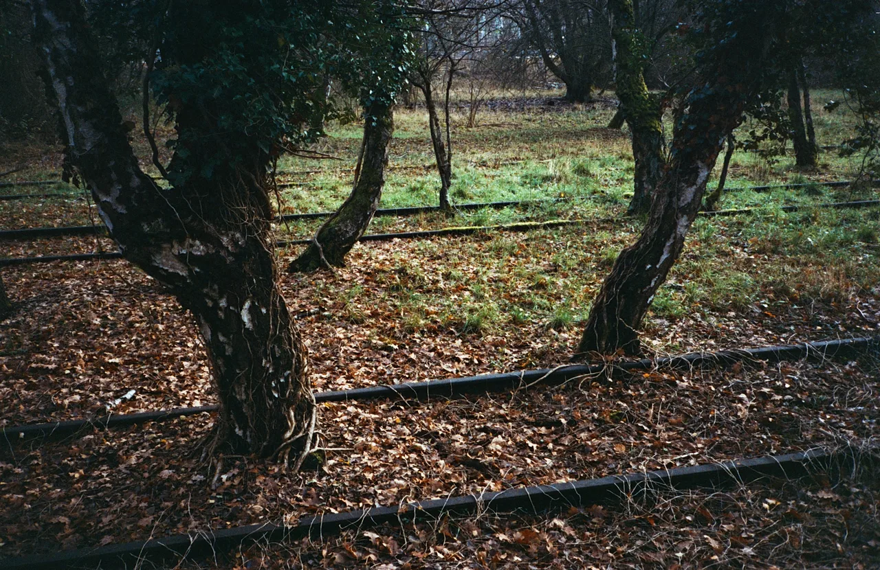 moritzjsh