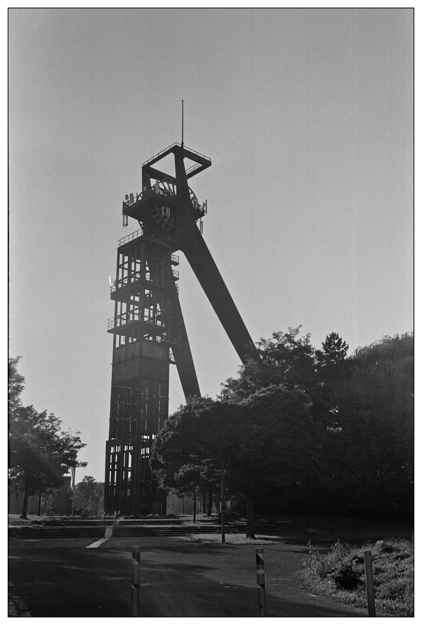 dan