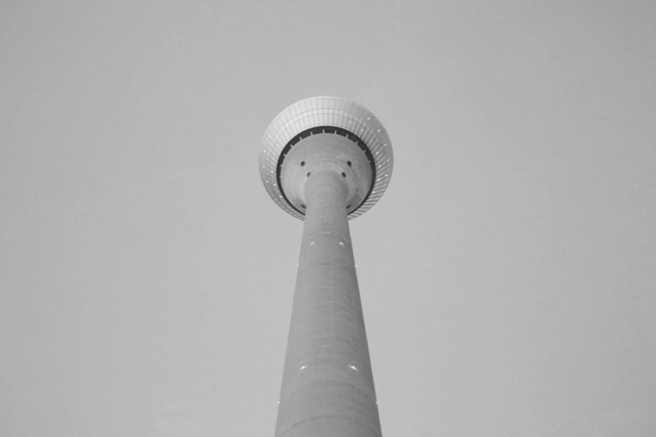 Zumo481