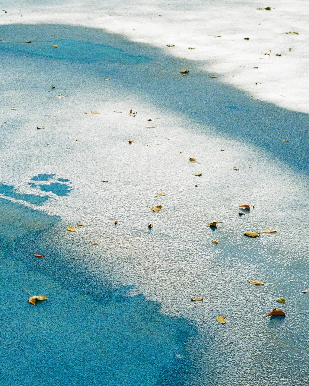 Fijisan.jpg
