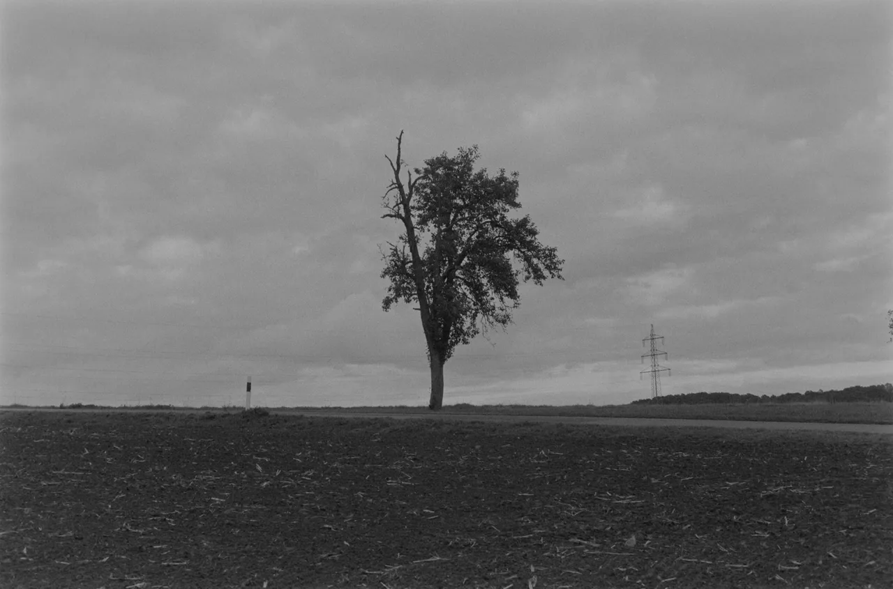 Pluto.Fotografie