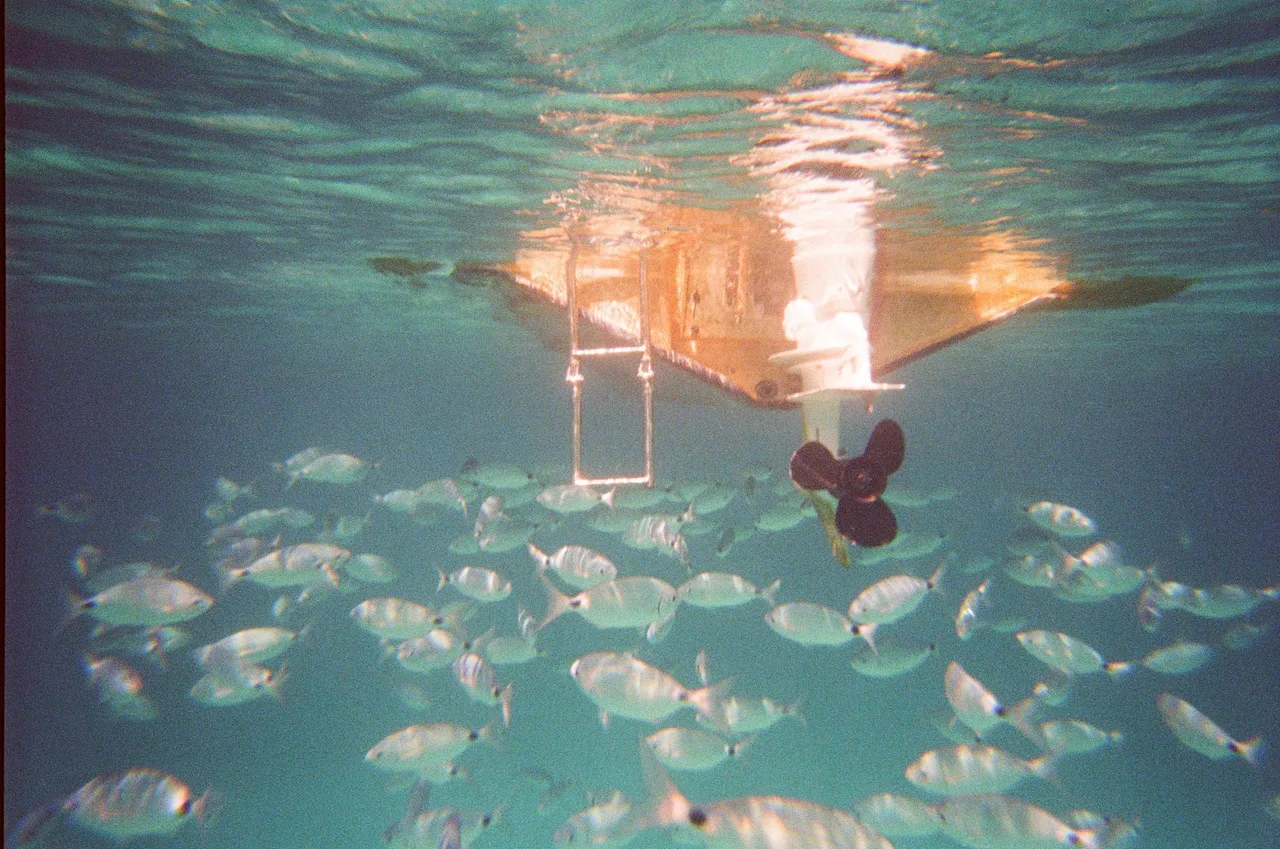 DM Perlentaucher · Kodak Ultramax 400