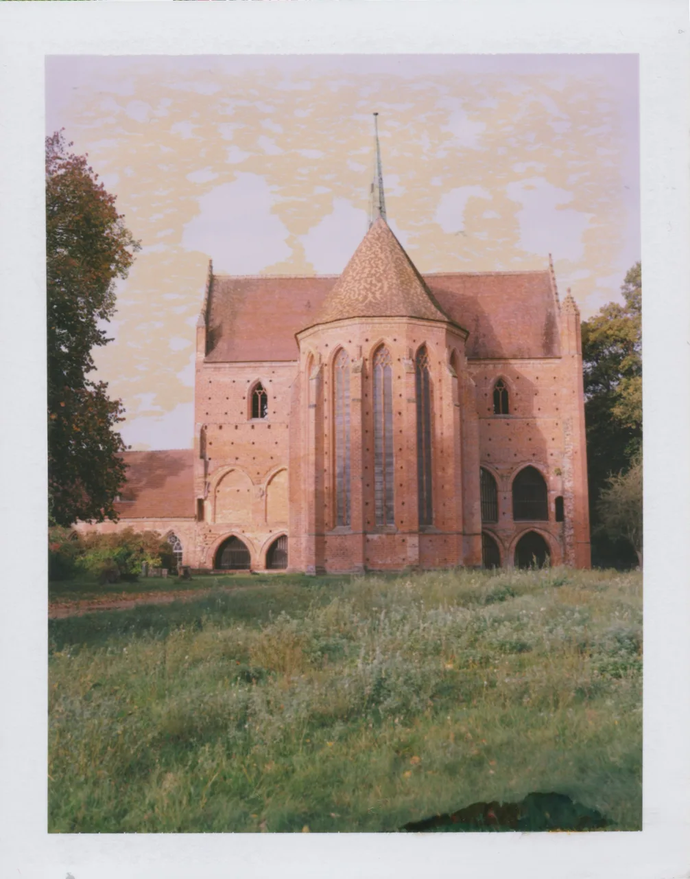Polaroid Land 195 mit Fujifilm FP-100C