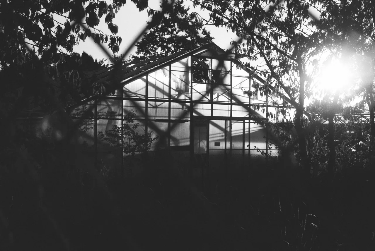 Minolta Hi-Matic 9 · OptiMono 100