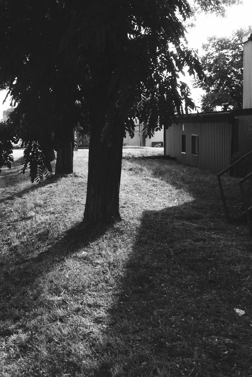 Minolta Hi-Matic 9 · OptiMono 100