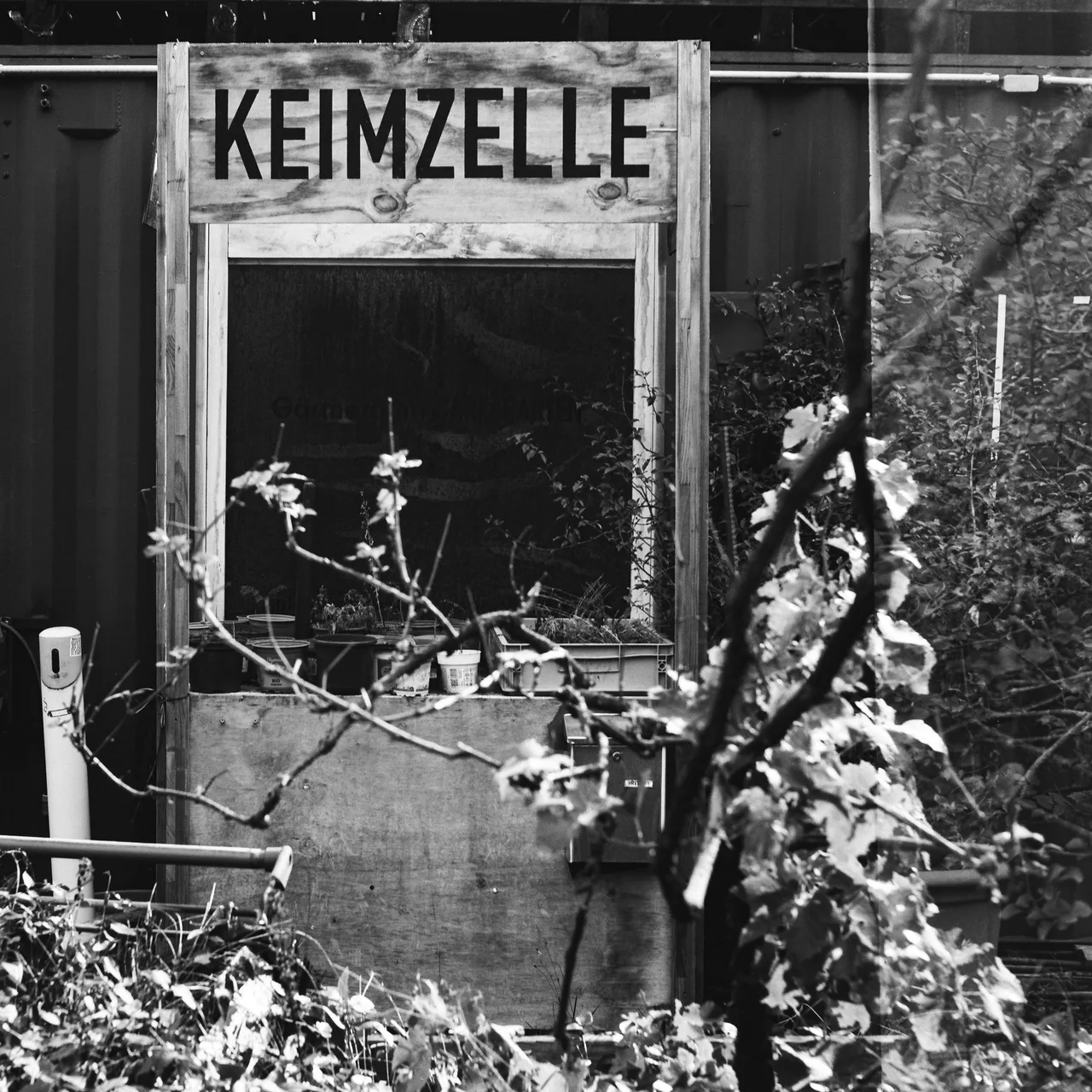 Weltax Rheinmetall · Fomapan 100 Classic