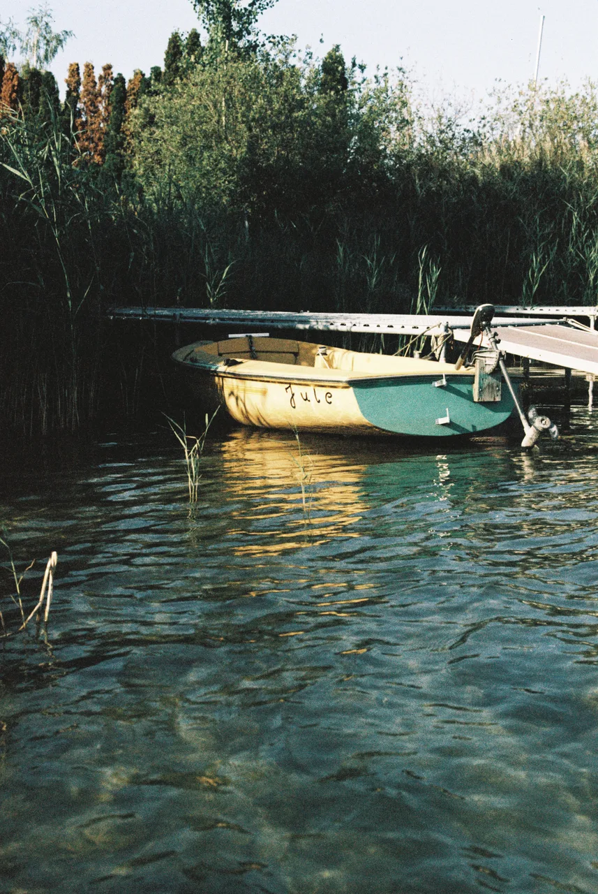 Ivo_400