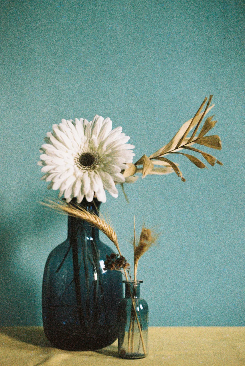 Ivo_400