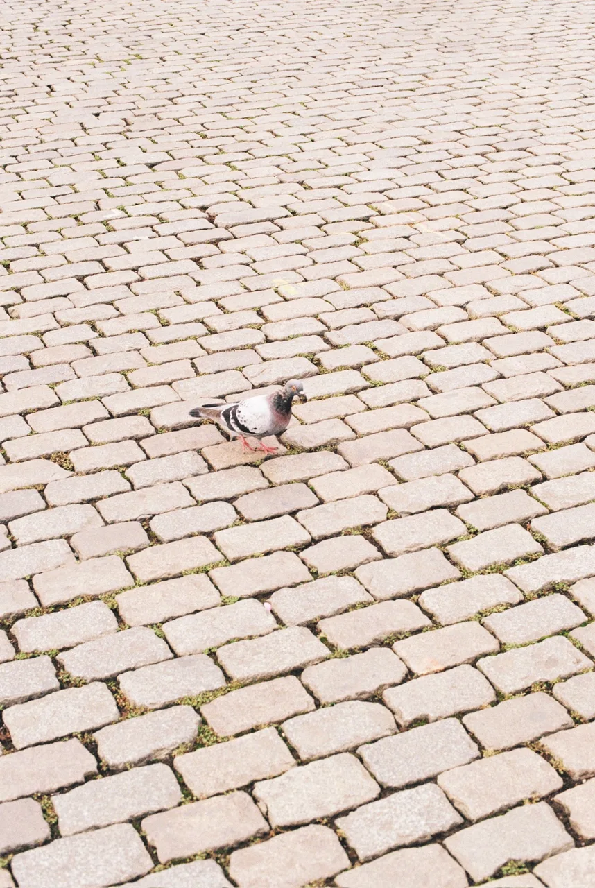 shutter.therapie