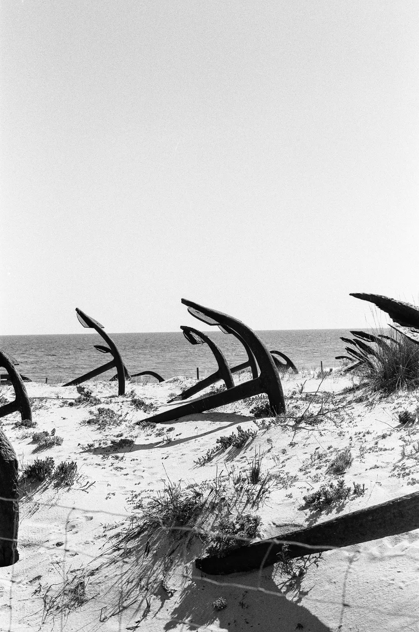 crosby_frames