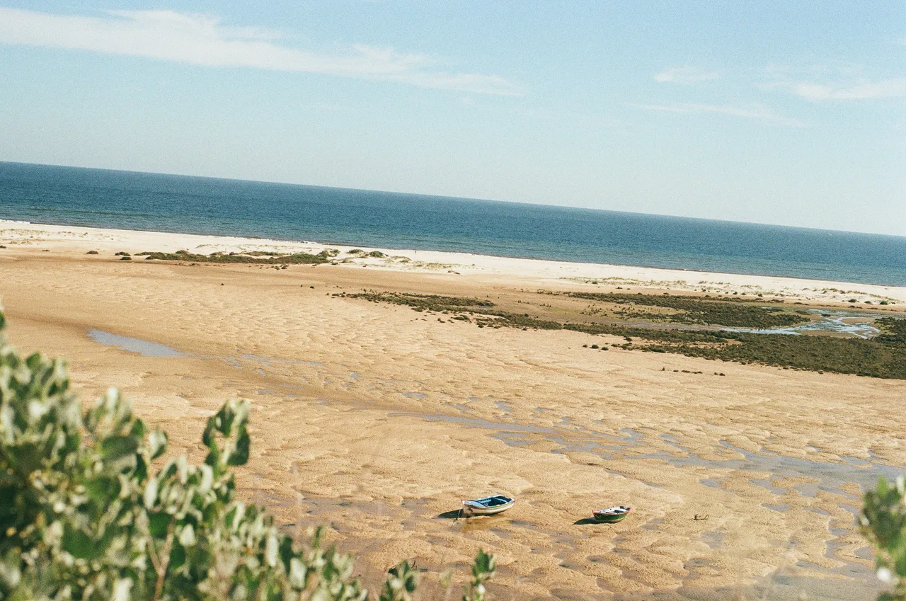 Canon A1 · Kodak Gold 200