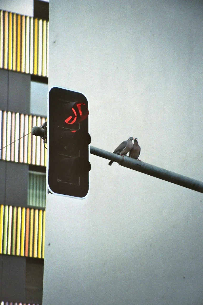 Raw___Shot