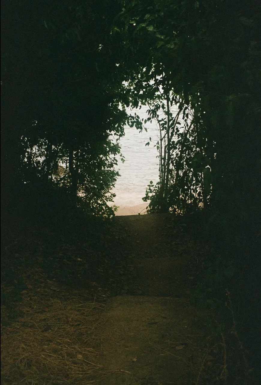 nanuk
