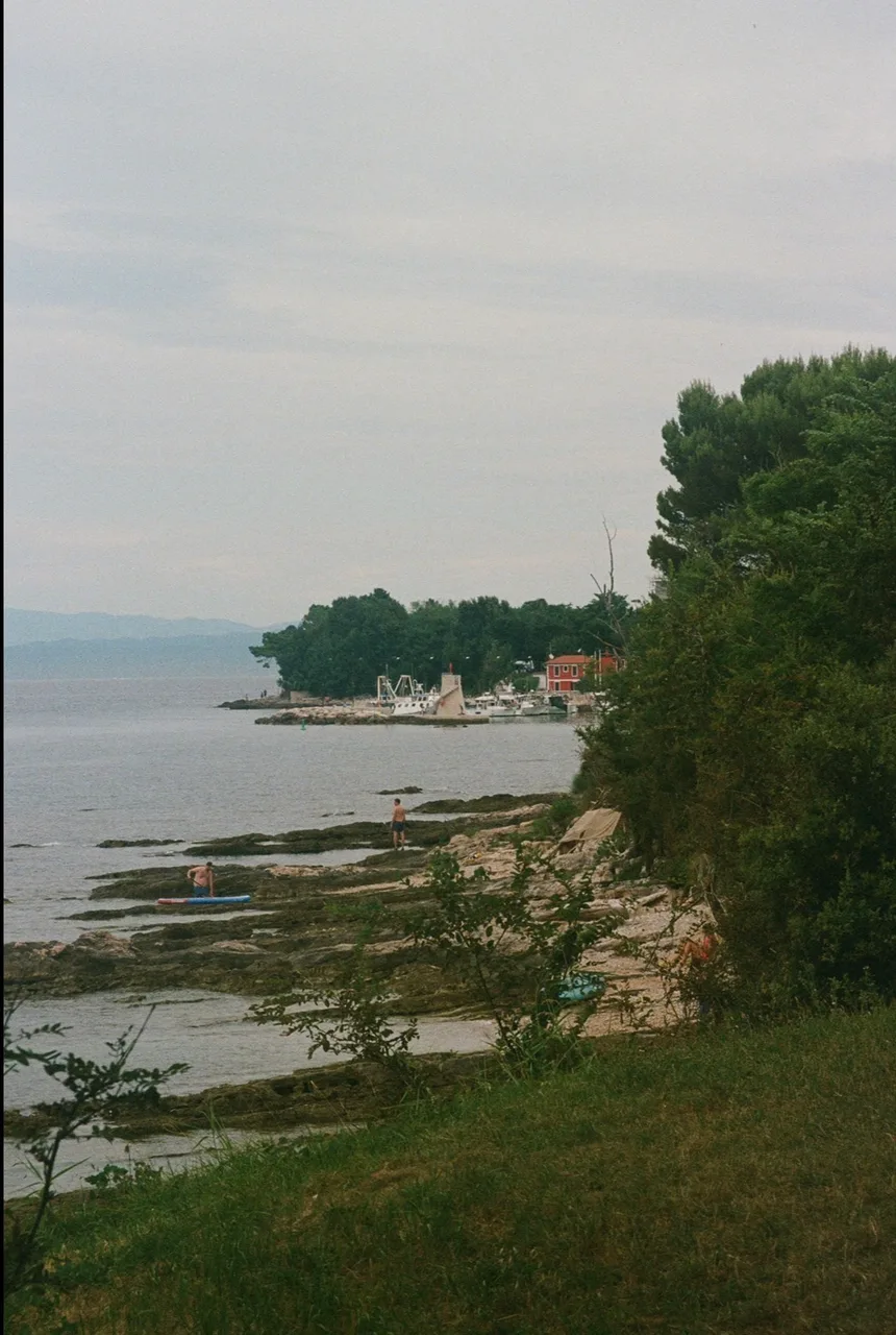 nanuk