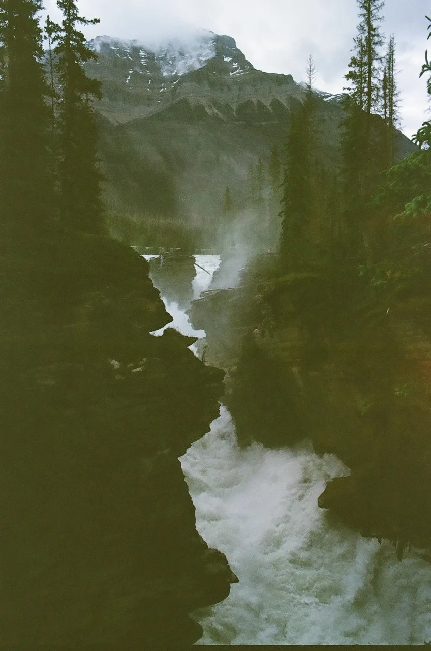halfshotfilm