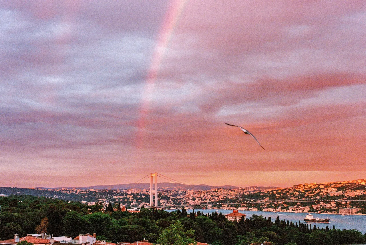 36frames_on35mm