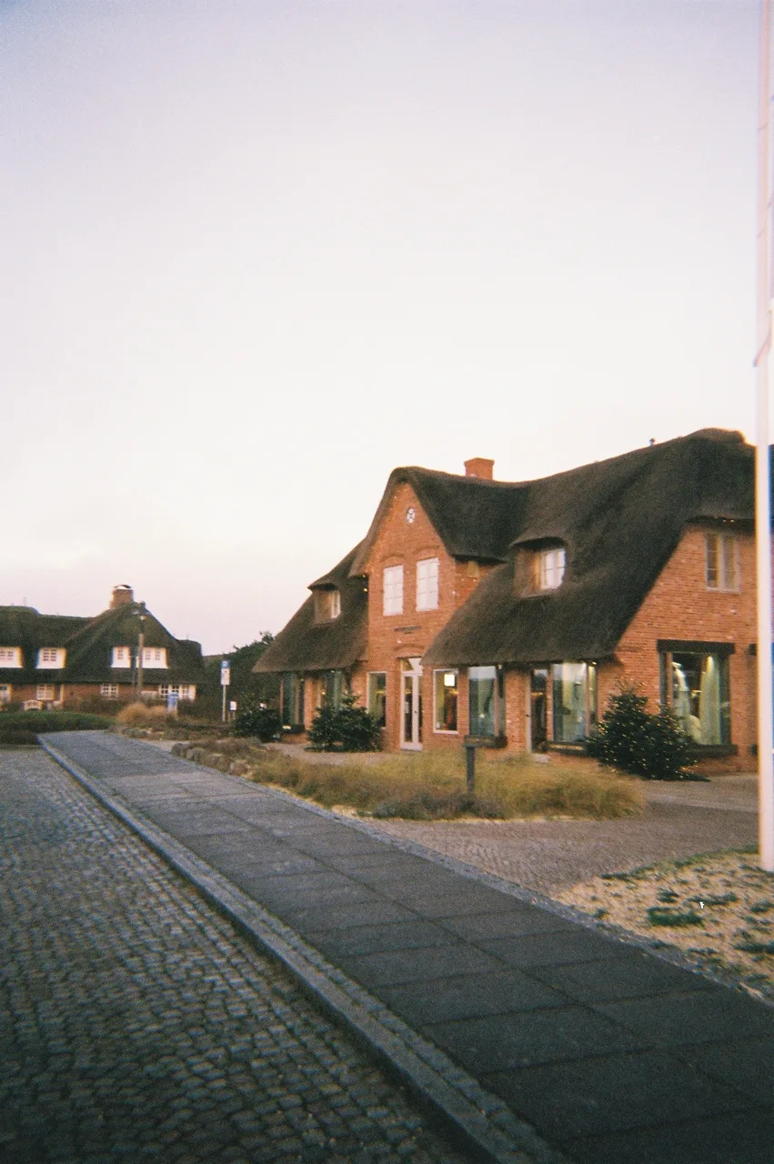 juliakubbe