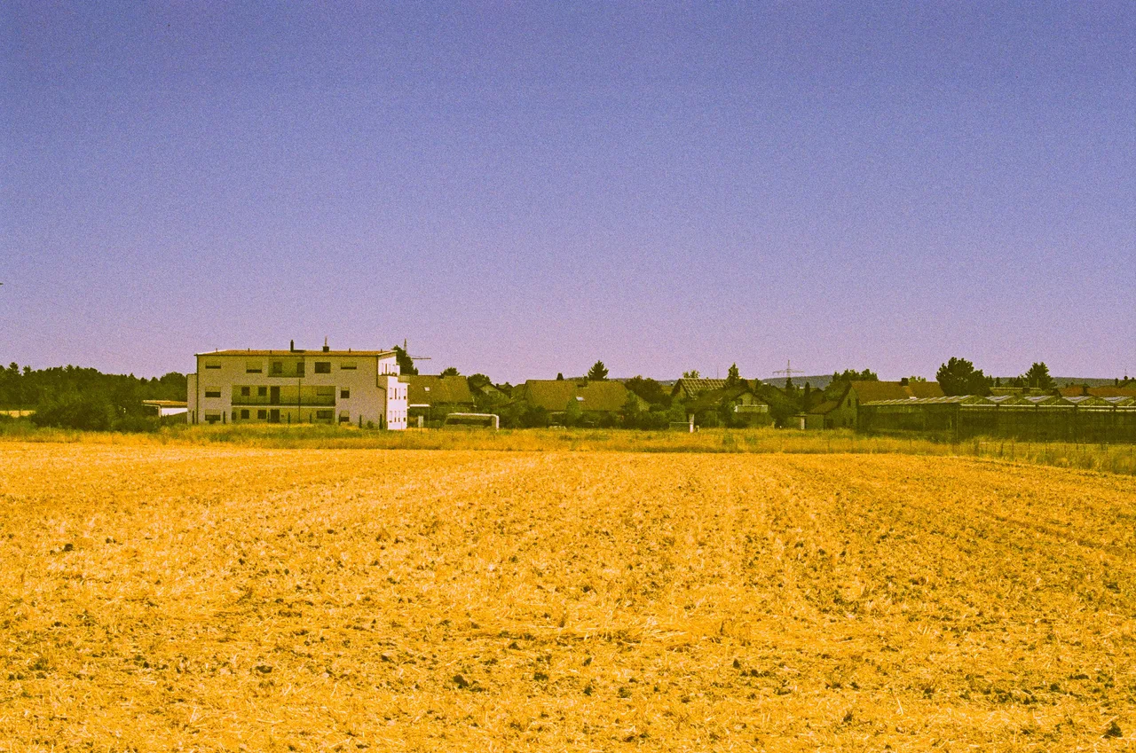 35mmphotograp16