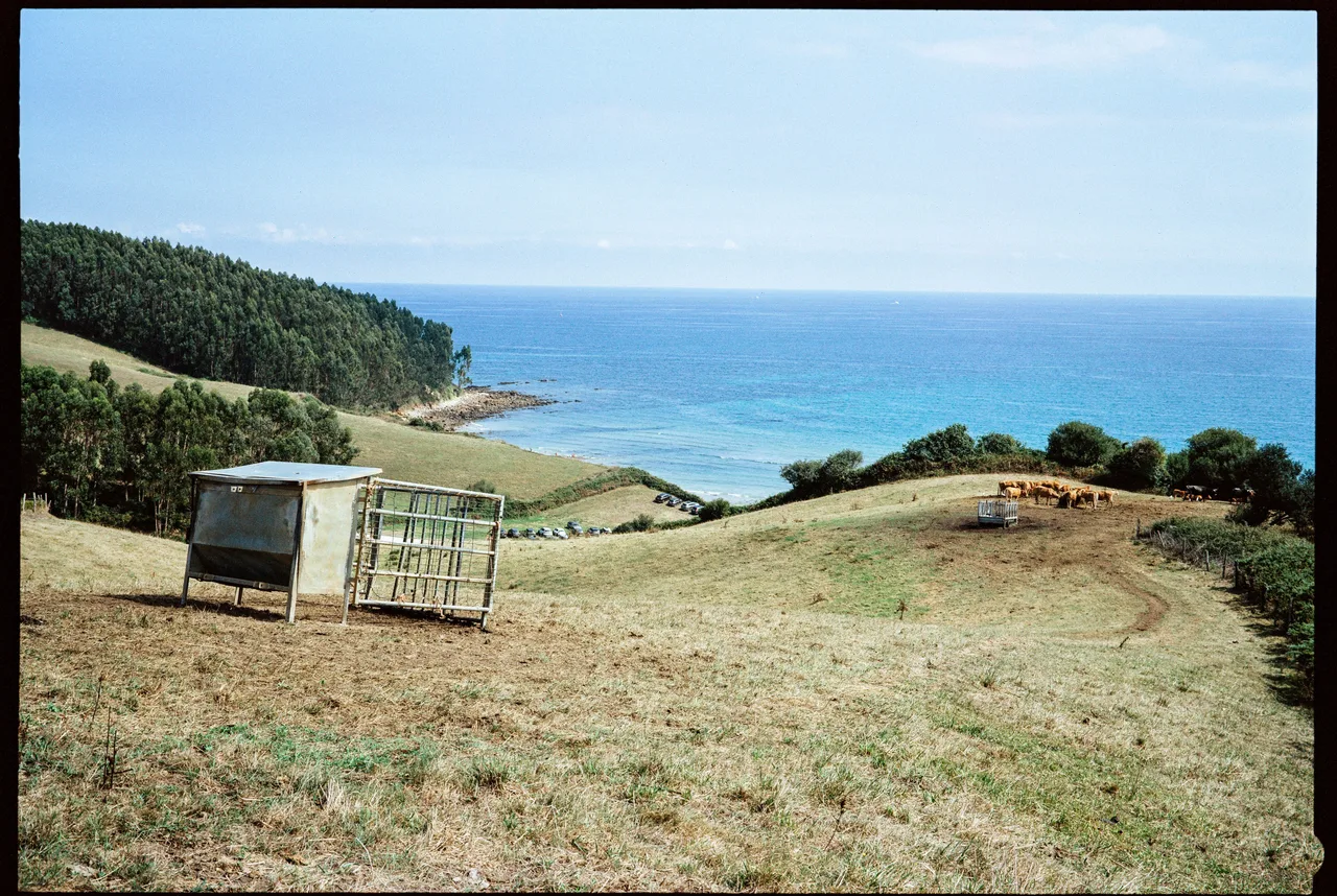 36frames_on35mm