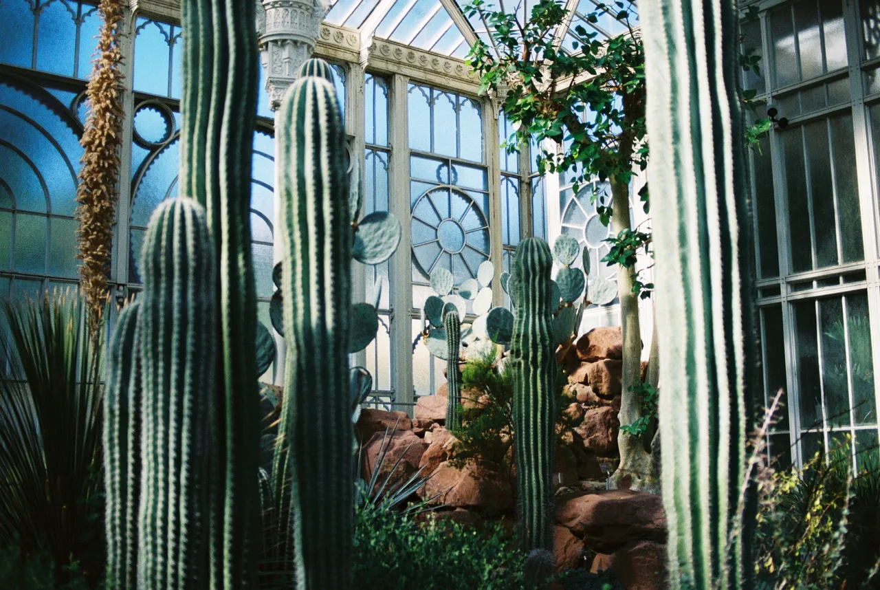 Nikon FE2 · Kodak Ultramax 400
