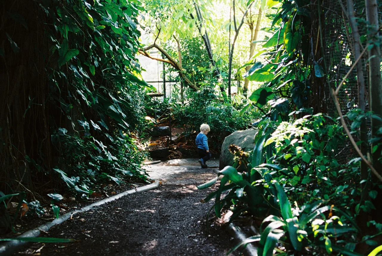 Nikon FE2 · Kodak Ultramax 400